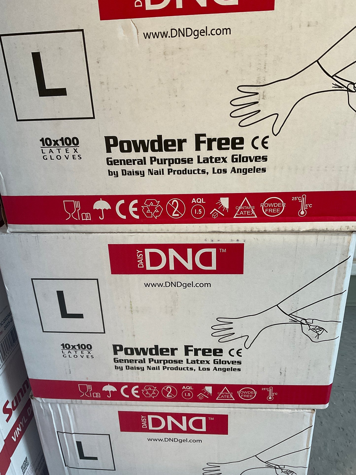 DND Latex Gloves (Case)